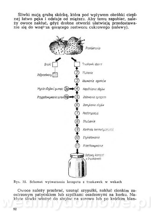 Mering A. - Domowe przetwory z owoców i warzyw_093.jpg