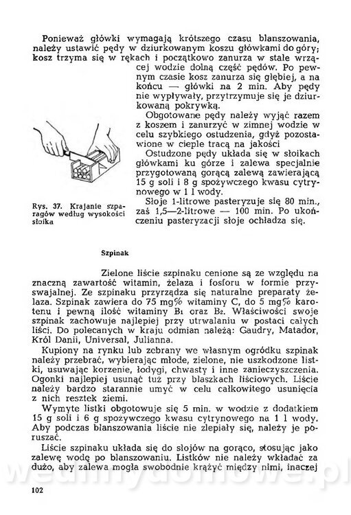 Mering A. - Domowe przetwory z owoców i warzyw_105.jpg