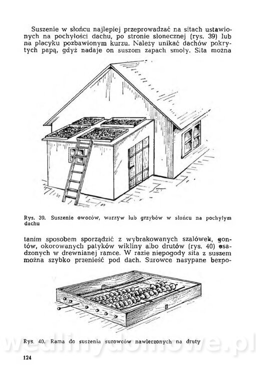 Mering A. - Domowe przetwory z owoców i warzyw_127.jpg