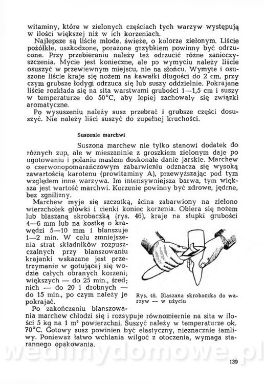 Mering A. - Domowe przetwory z owoców i warzyw_142.jpg