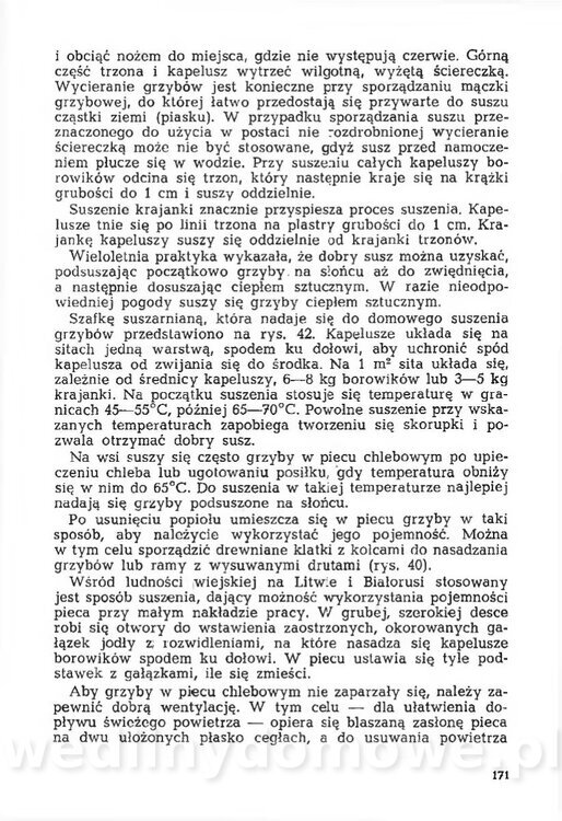 Mering A. - Domowe przetwory z owoców i warzyw_176.jpg