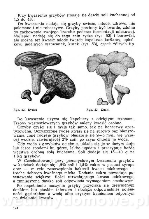 Mering A. - Domowe przetwory z owoców i warzyw_179.jpg