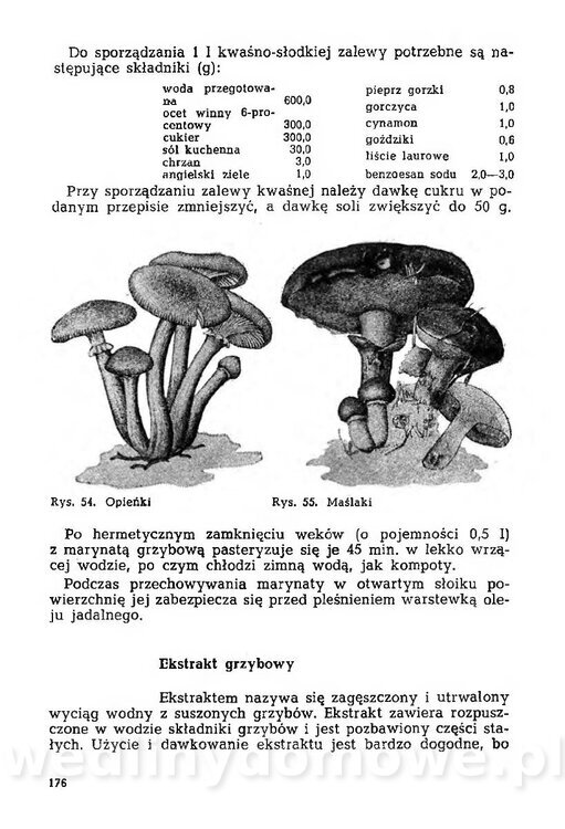 Mering A. - Domowe przetwory z owoców i warzyw_181.jpg