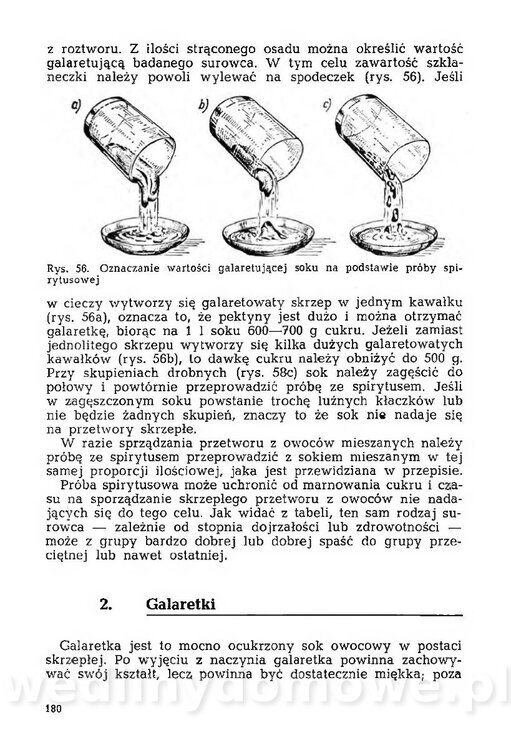 Mering A. - Domowe przetwory z owoców i warzyw_185.jpg