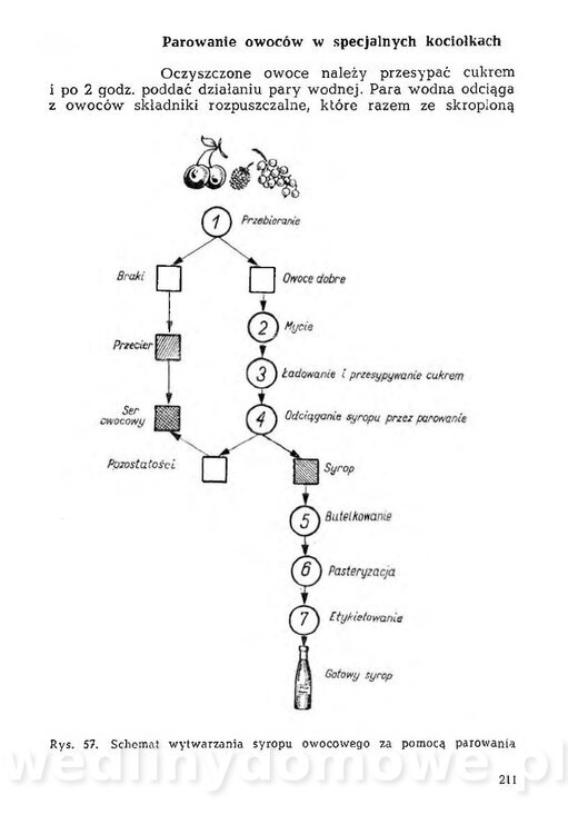 Mering A. - Domowe przetwory z owoców i warzyw_218.jpg