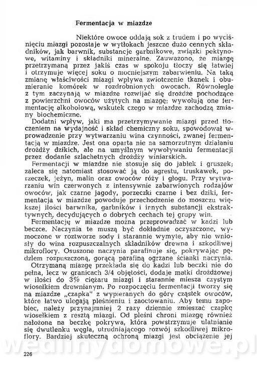 Mering A. - Domowe przetwory z owoców i warzyw_233.jpg