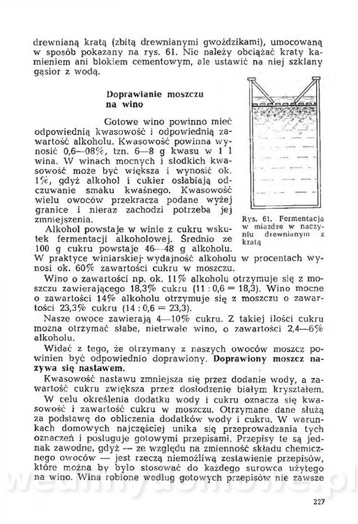 Mering A. - Domowe przetwory z owoców i warzyw_234.jpg