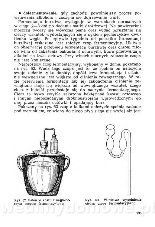Mering A. - Domowe przetwory z owoców i warzyw_242.jpg