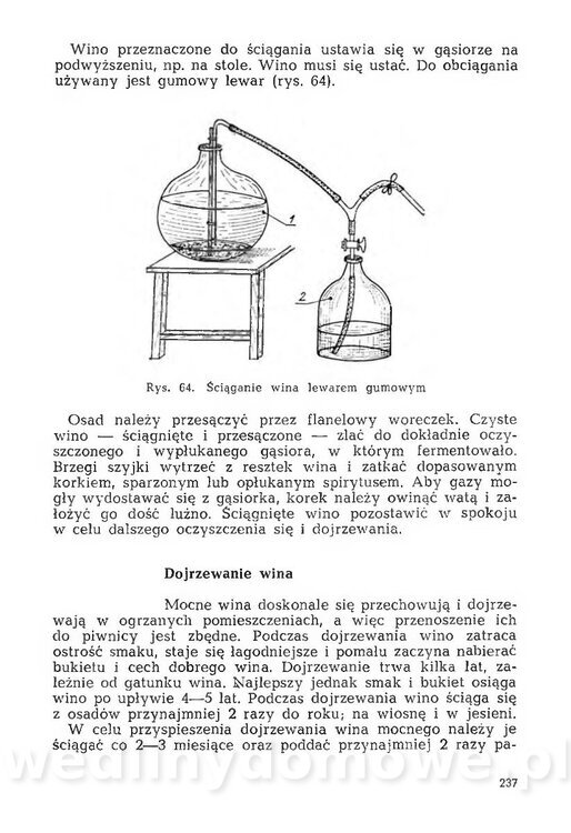 Mering A. - Domowe przetwory z owoców i warzyw_244.jpg
