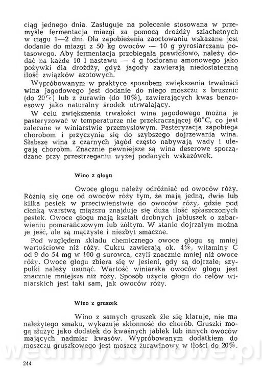 Mering A. - Domowe przetwory z owoców i warzyw_251.jpg