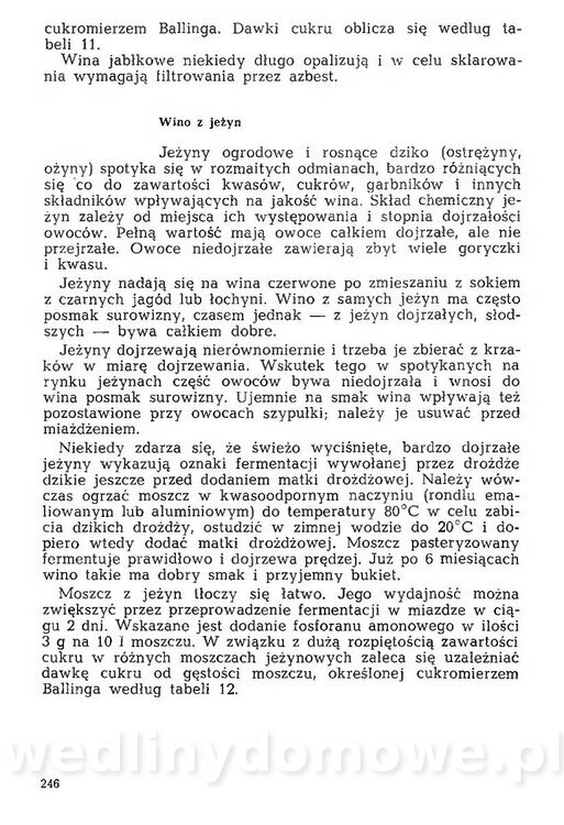 Mering A. - Domowe przetwory z owoców i warzyw_253.jpg