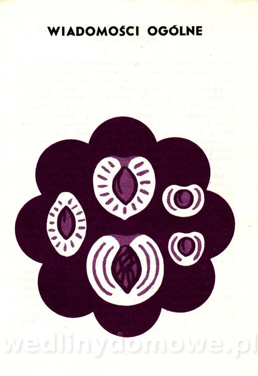 Owoce pestkowe - Mianowska - 1984_008.jpg