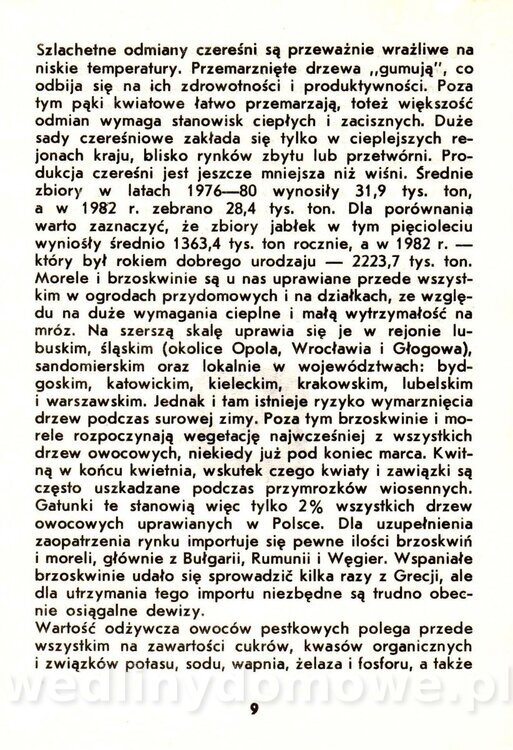 Owoce pestkowe - Mianowska - 1984_010.jpg