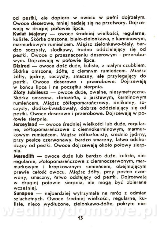 Owoce pestkowe - Mianowska - 1984_014.jpg