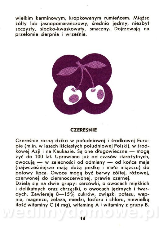 Owoce pestkowe - Mianowska - 1984_015.jpg
