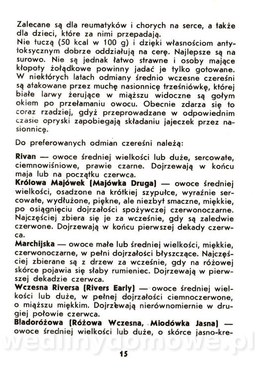 Owoce pestkowe - Mianowska - 1984_016.jpg