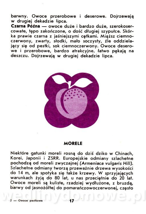 Owoce pestkowe - Mianowska - 1984_018.jpg