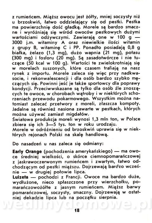 Owoce pestkowe - Mianowska - 1984_019.jpg