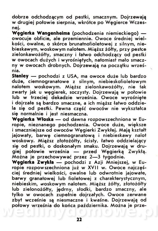 Owoce pestkowe - Mianowska - 1984_023.jpg