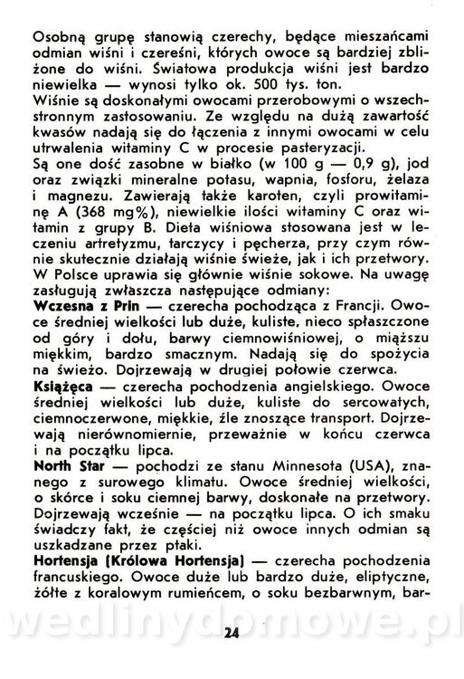 Owoce pestkowe - Mianowska - 1984_025.jpg