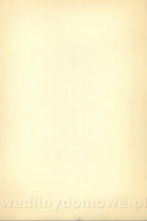 Potrawy z szybkowaru 1988_163.jpg