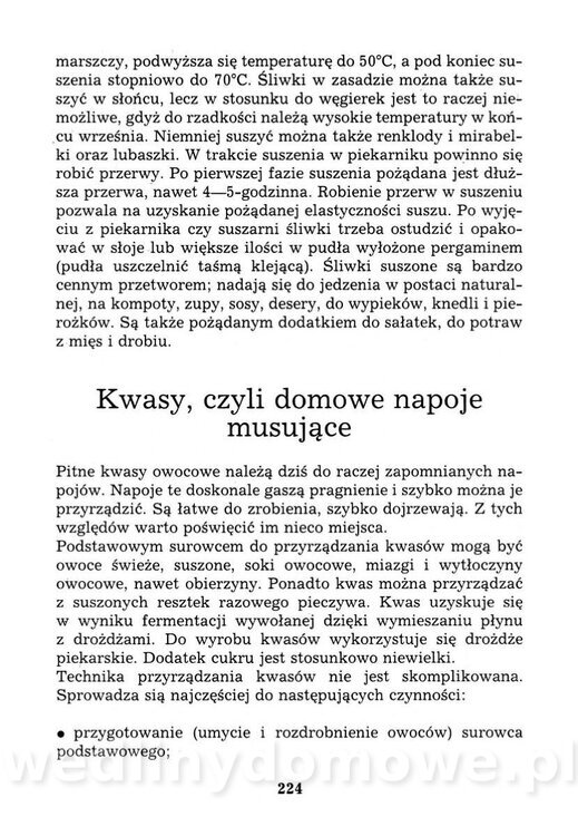 Przetwory domowe dawne i nowe_241.jpg