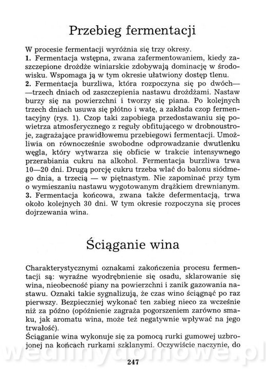 Przetwory domowe dawne i nowe_264.jpg