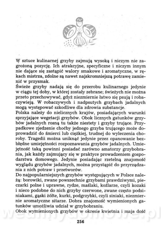 Przetwory domowe dawne i nowe_273.jpg