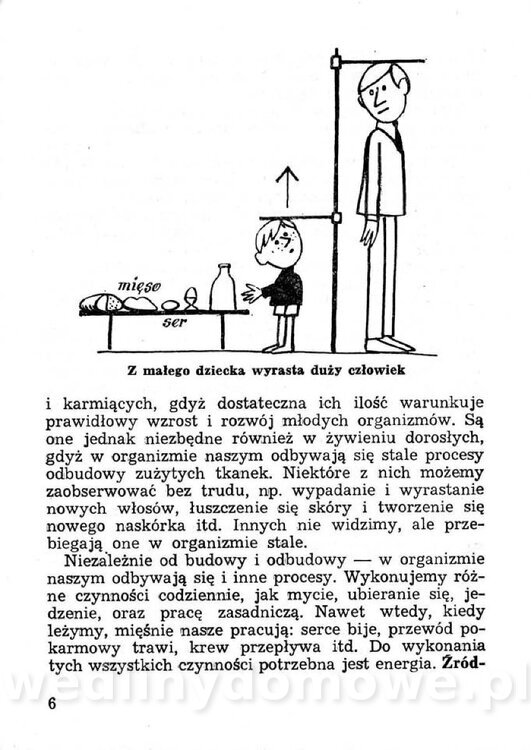 Przetwory konserwy koncentraty w żywieniu rodziny_005.jpg