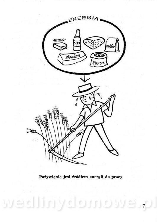 Przetwory konserwy koncentraty w żywieniu rodziny_006.jpg