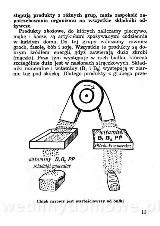 Przetwory konserwy koncentraty w żywieniu rodziny_012.jpg