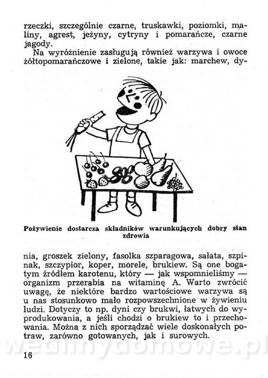 Przetwory konserwy koncentraty w żywieniu rodziny_015.jpg