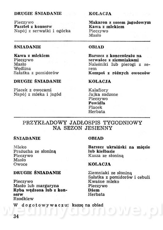 Przetwory konserwy koncentraty w żywieniu rodziny_033.jpg