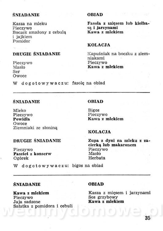 Przetwory konserwy koncentraty w żywieniu rodziny_034.jpg