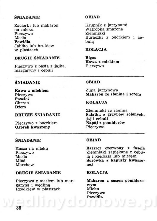 Przetwory konserwy koncentraty w żywieniu rodziny_037.jpg