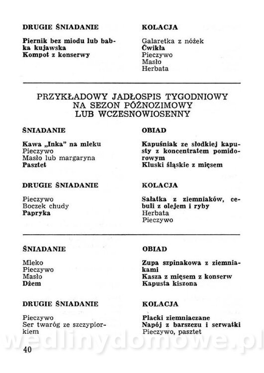 Przetwory konserwy koncentraty w żywieniu rodziny_039.jpg