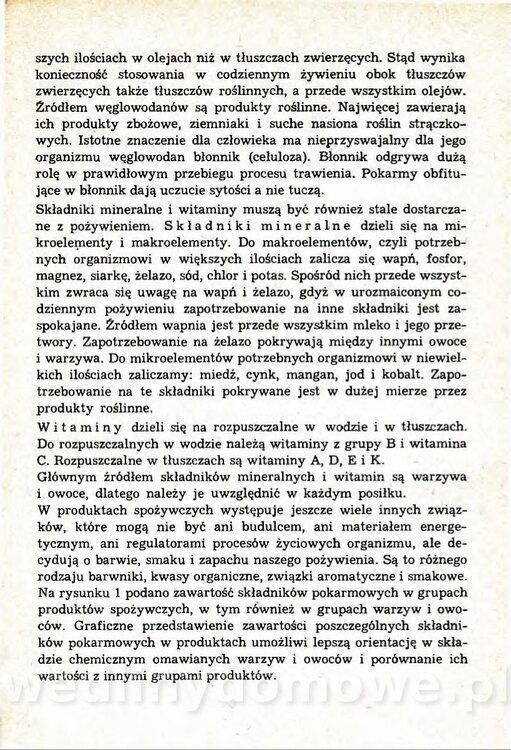 Przetwory w gospodarstwie domowym_005.jpg