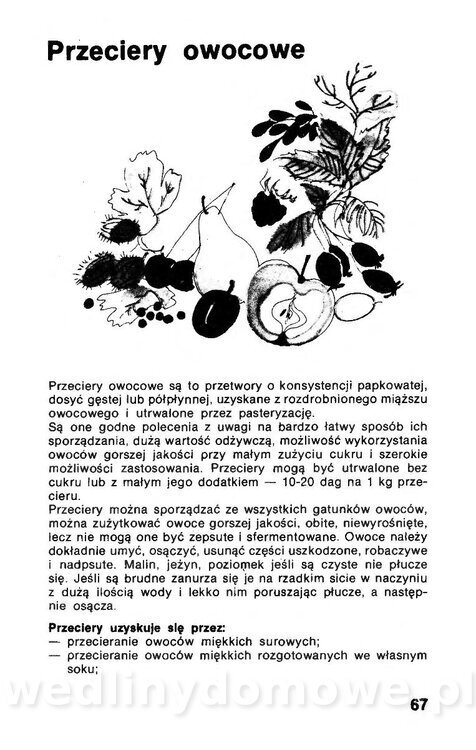 Przetwory z owoców, warzyw i grzybów_068.jpg