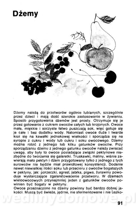 Przetwory z owoców, warzyw i grzybów_092.jpg