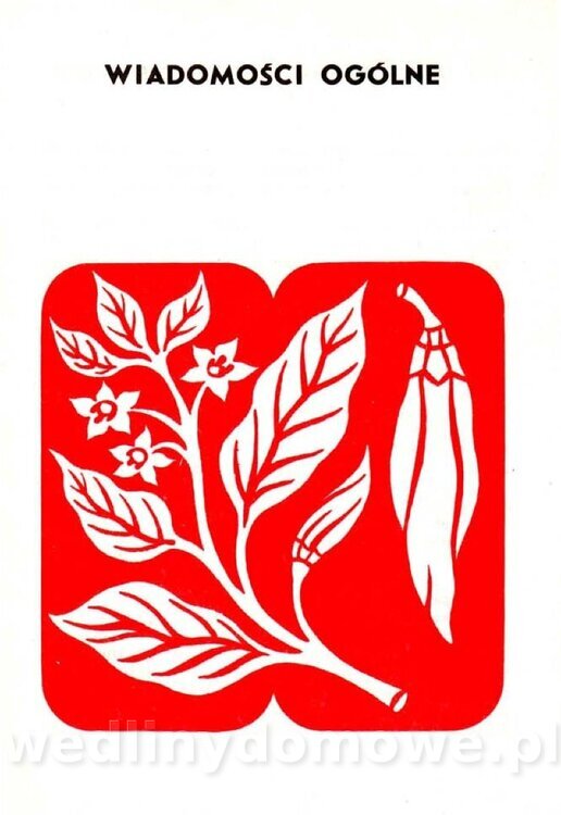 Samołuk J. - Papryka_008.jpg