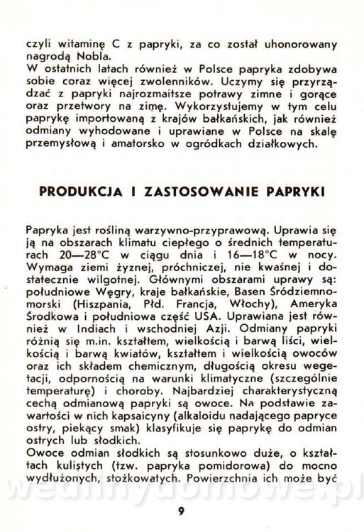 Samołuk J. - Papryka_010.jpg