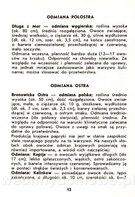 Samołuk J. - Papryka_013.jpg