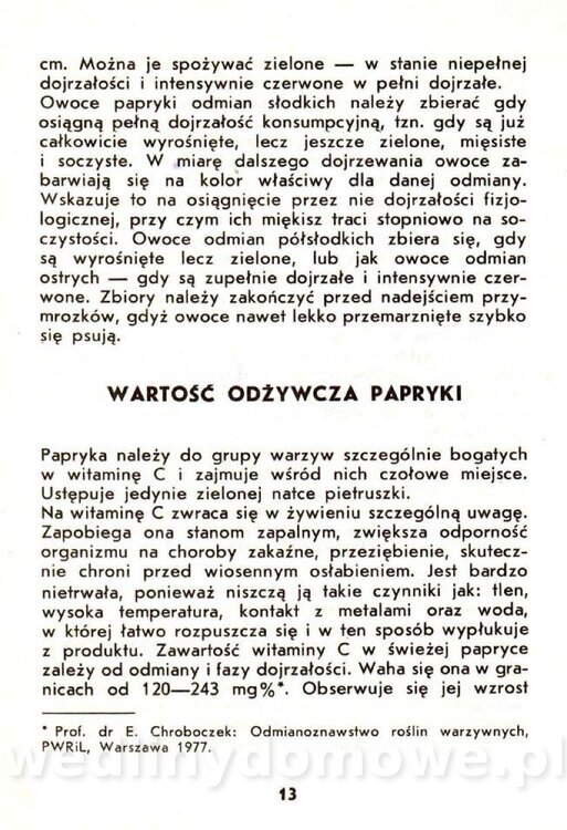 Samołuk J. - Papryka_014.jpg