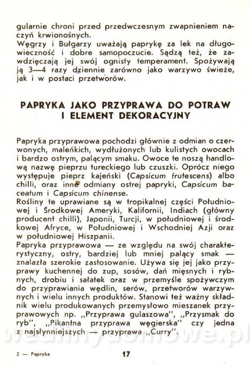 Samołuk J. - Papryka_018.jpg
