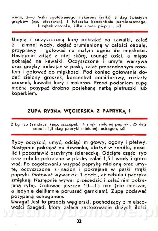 Samołuk J. - Papryka_033.jpg