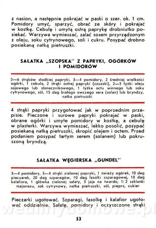 Samołuk J. - Papryka_054.jpg