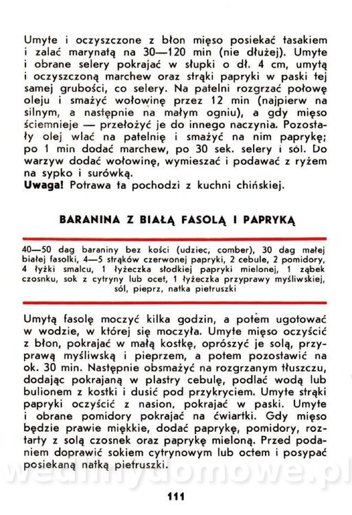 Samołuk J. - Papryka_112.jpg