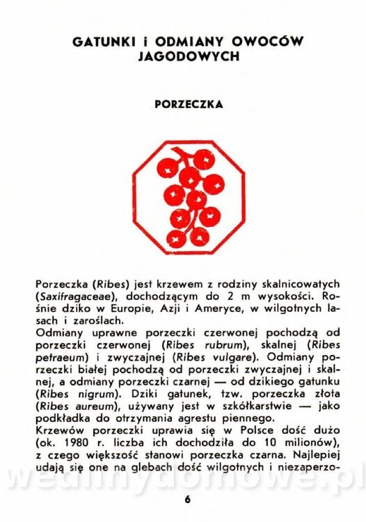 Szczepańska A. - Porzeczki, Maliny, Agrest_003.jpg