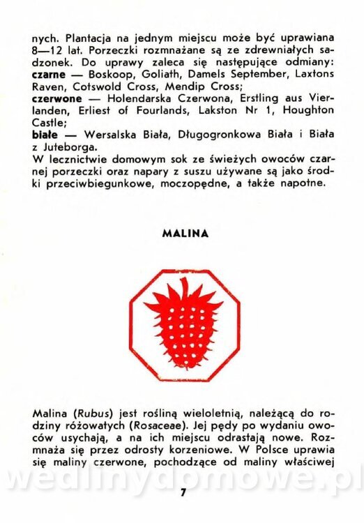 Szczepańska A. - Porzeczki, Maliny, Agrest_004.jpg