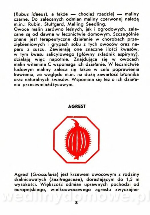 Szczepańska A. - Porzeczki, Maliny, Agrest_005.jpg